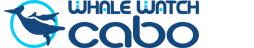 whale watch cabo logo