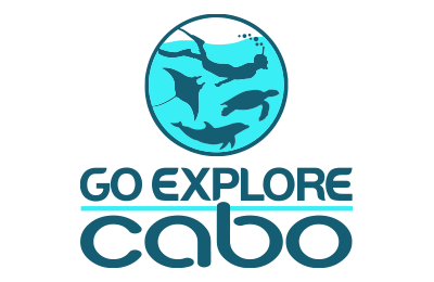 go_explore_cabo